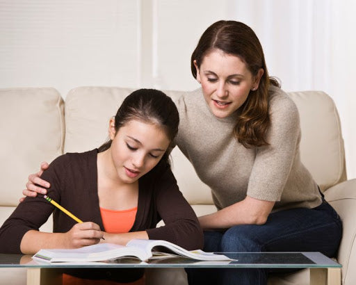 A parent and child work together on a homeschool assignment.