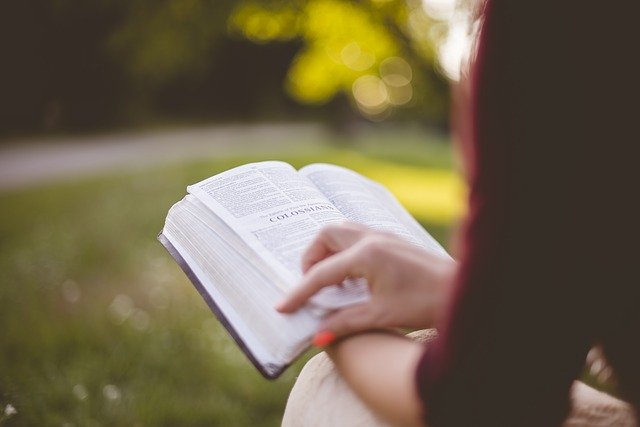 Student reading book.