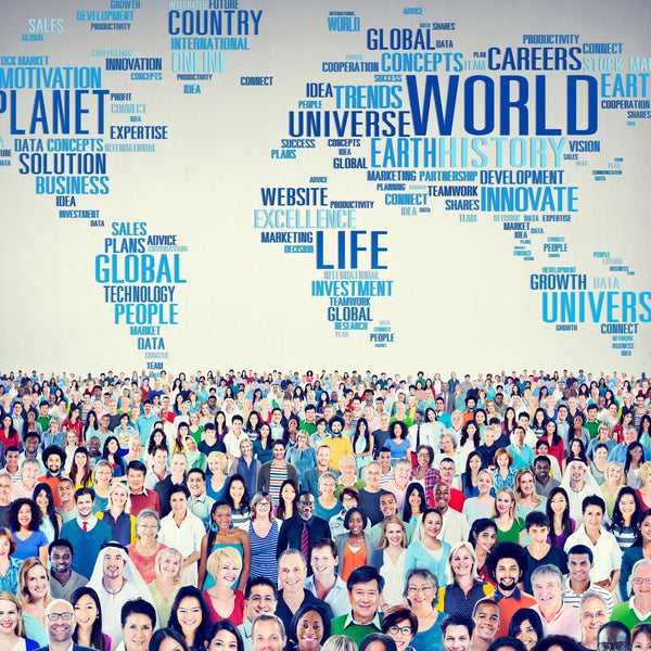 Online High School Contemporary World Issues Course - SOC313 – The ...